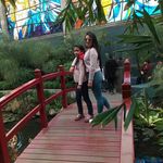 Profile Picture of Roberta Sandoval (@roberta.sandoval.3110) on Instagram