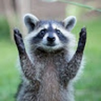 Profile Picture of Jimmie Coffer (@jimmie-coffer-3) on Quora