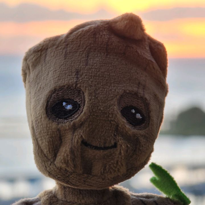 Profile Picture of Josh (@joshuapnw_grootsgang) on Tiktok