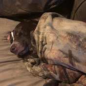 Profile Picture of Seth Pruett (@sethpruett3302) on Youtube