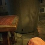 Profile Picture of Daniel  deprez (@deprezdaniel718) on Instagram