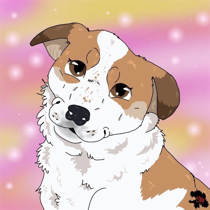 🦋 𝐵𝑜𝓃𝓃𝒾𝑒 🦋 - Tiktok Profile Picture of 🦋 𝐵𝑜𝓃𝓃𝒾𝑒 🦋 (@k9bonnie) on Tiktok