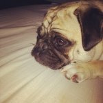 Profile Picture of Chloe Rose Gurney (@chloe_rose_7) on Instagram