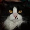 Profile Picture of Derek Mansfeild (@@derekmansfeild) on Tiktok