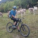 Profile Picture of Steve Chadwick (@jglroots) on Instagram