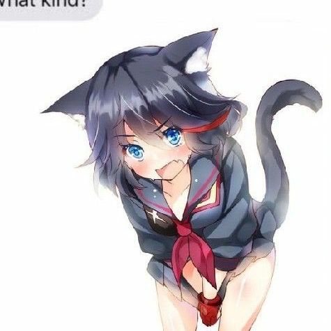 Profile Picture of Don Lancaster (@donlancaster) on Tiktok