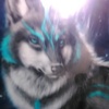 Profile Picture of Armandas Rakevicius (@armandasrakeviciu) on Tiktok