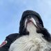 Profile Picture of Eric Chelkowski (@eric.chelkowski) on Facebook