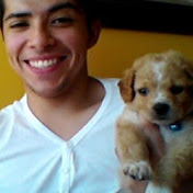 Profile Picture of Alejandro Armijo (@alejandroarmijo65) on Youtube