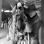 David Cornely - Instagram Profile Picture of David Cornely (@david_cornely) on Instagram