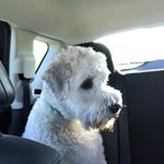 Profile Picture of Drew Diekhoff (@drewdiekhoff2018) on Instagram