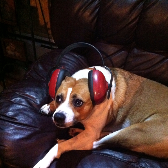 Profile Picture of Amanda Bowen (@albowen8624) on Poshmark