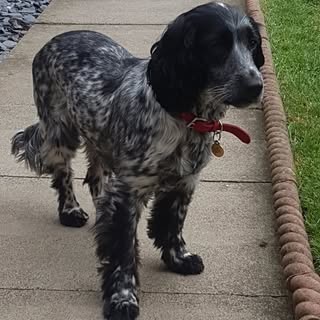 Profile Picture of Peter Braithwaite (@braithwaite_peter) on Instagram