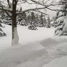 Profile Picture of Lori Lindstrom (@loril73) on Pinterest