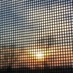 Profile Picture of Blake Longacre (@photo.graphy2026) on Instagram