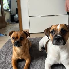 Profile Picture of Renate Langlotz (@renate.langlotz7) on Tiktok