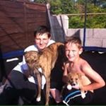 Profile Picture of Matt Vowles (@matt.vowles.9) on Instagram