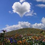 Profile Picture of 😄😉 (@irizarryliza) on Instagram