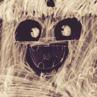 Profile Picture of Alex Patocki (@alex.patocki) on Facebook