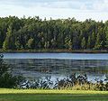 Kouchibouguac River - Wikipedia Profile Picture of Kouchibouguac Riveron Wikipedia