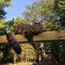 Profile Picture of Linda Mattie Dickson (@linda.dickson.7798) on Facebook