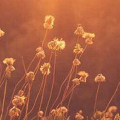 Profile Picture of Aaron Cushing (@hightechever) on Twitter