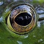 Profile Picture of Randy Winter (@winter.randy) on Instagram