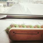 Profile Picture of STD2A ROUVIÈRE (@std2arouviere) on Instagram