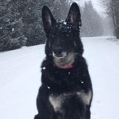 Profile Picture of Kevin Kerby (@Mobert00) on Twitter