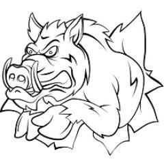 Profile Picture of James Peppard (@JamesBoarsrun) on Twitter