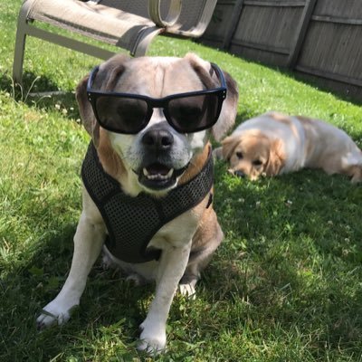 Profile Picture of John Stacey (@john_stacey311) on Twitter