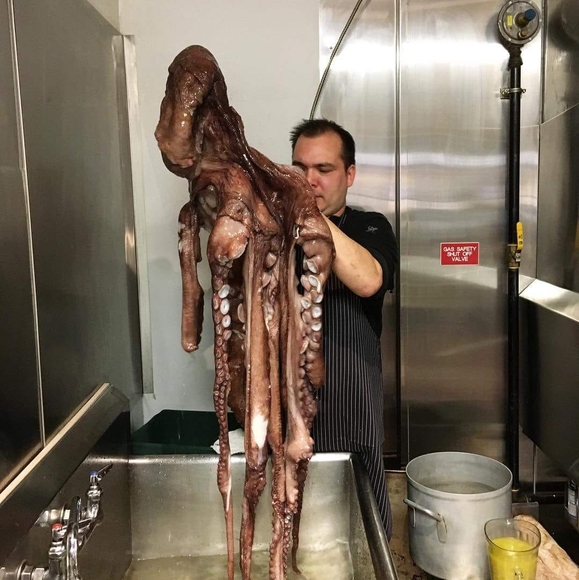 Profile Picture of Dave Kennerley (@quader69er) on Poshmark