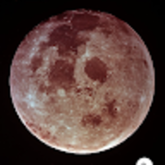 Ava Austin - Poshmark Profile Picture of Ava Austin (@avaaustin44) on Poshmark