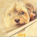 Profile Picture of Joni Albright Boelkow (@joknee728) on Pinterest