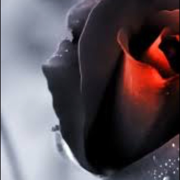 Profile Picture of Dean Pregiato (@deanpreg17) on Poshmark