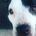 Profile Picture of cassidy hayes (@flowerpot146_) on Instagram