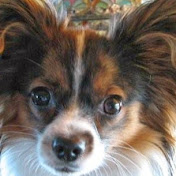 Profile Picture of Penny Roberts (@pennyroberts4678) on Youtube