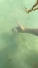 Profile Picture of   из_воспоминаний Как же... (@aina_var) on Tiktok