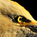 Profile Picture of Rama Krishna (@dvrk: s veiw through nikon) on Flickr