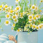 Robert Siret - Instagram Profile Picture of Robert Siret (@bobby_kib) on Instagram