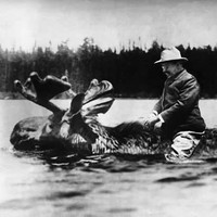 Profile Picture of Joshua Hollister (@joshua-hollister-2) on Quora