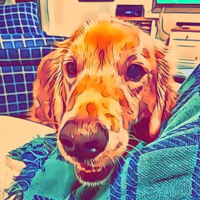 Profile Picture of Jim Daves (@JimDaves) on Twitter