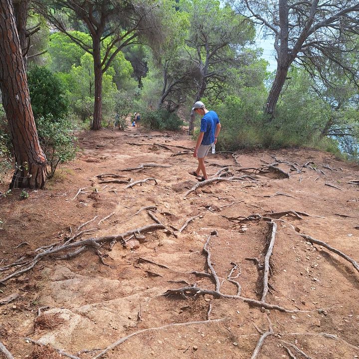 Calvin - Tiktok Profile Picture of Calvin (@.calvinklein) on Tiktok