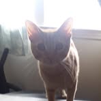 Profile Picture of Dawn Stickel (@dawn.stickel.58) on Facebook