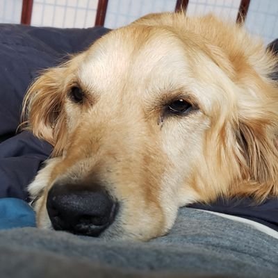 Profile Picture of Greg Mattson (@GregMattson4) on Twitter