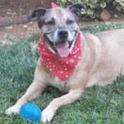 Profile Picture of Jaclyn Phillips (@wickedfairy1984) on Youtube