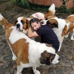Profile Picture of Brian McCloskey (@societyofmindz) on Instagram