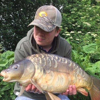 Profile Picture of Harry Holmes (@harryholmes123) on Twitter