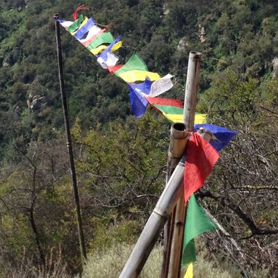 Profile Picture of Tisha Weber Ford (@tishaford) on Twitter