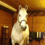 Lisa Apa - Instagram Profile Picture of Lisa Apa (@4riders) on Instagram